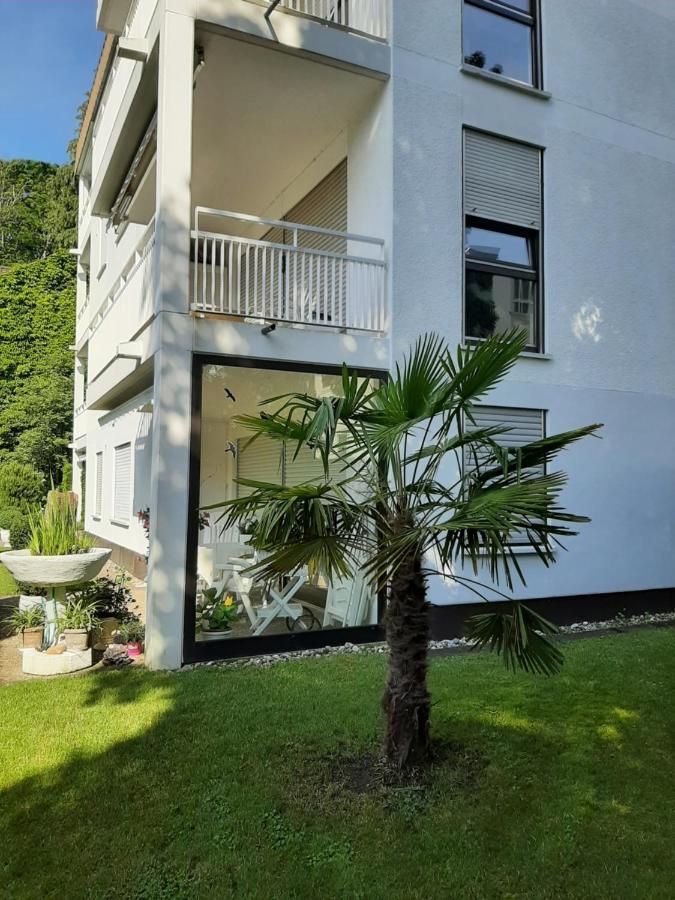 At The Lichtentaler Allee Apartment Baden-Baden Exteriér fotografie