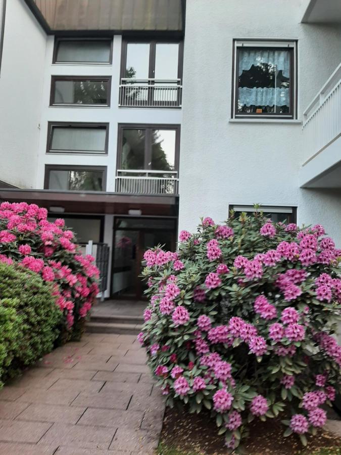 At The Lichtentaler Allee Apartment Baden-Baden Exteriér fotografie